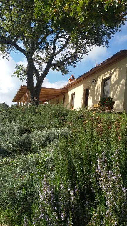 Agriturismo Sugheretello Semproniano Exterior foto